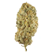 Station House - Jack Herer - Sativa - 3.5g