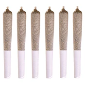 Station House - Jack Herer Pre-Roll - Sativa - 1x0.5g