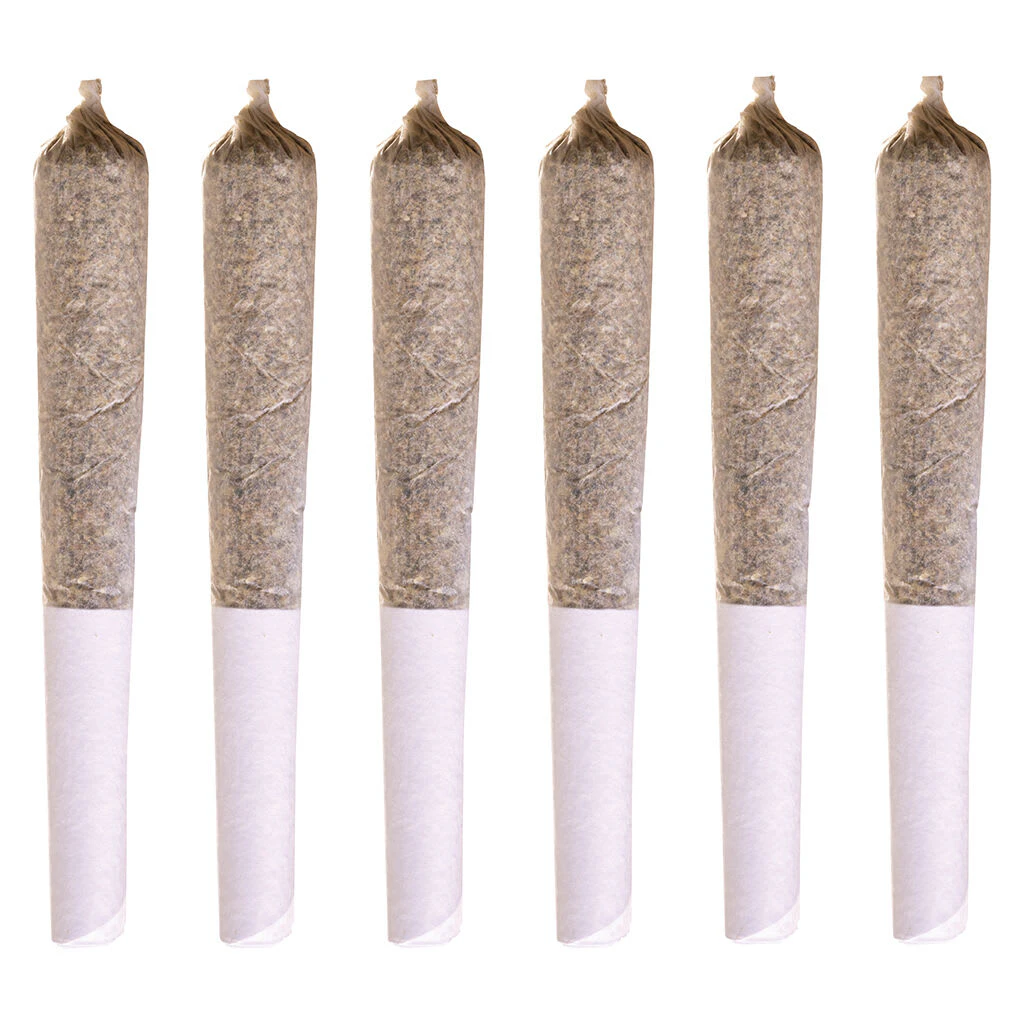 Station House - Station House - Jack Herer Pre-Roll - Sativa - 1x0.5g Main Image