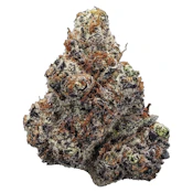 Station House - Northern Lights - Indica - 3.5g