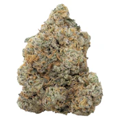 The Loud Plug - Exotic Gas - Indica - 7g