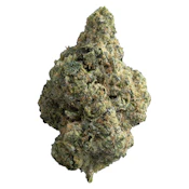 The Republic - The Republic Reserve 25 Plus - Indica - 28g