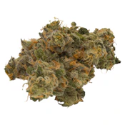 Truro - Jealousy x Apples & Bananas - Indica - 3.5g