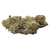 Truro - Titanimal - Indica - 3.5g