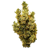 Banana Mango 14