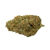 CHERRY TANG - 3.5