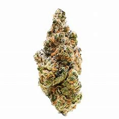 Northern Sunrise Farms - Northern Sunrise Farms - Cakes & Cream 7g Dried Flower Main Image
