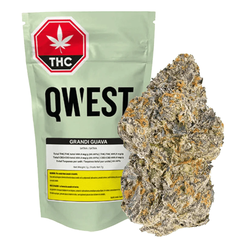Qwest - Qwest - Grandi Guava 7g Dried Flower Main Image