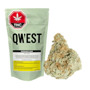 Qwest - Morning Sun 7g Dried Flower