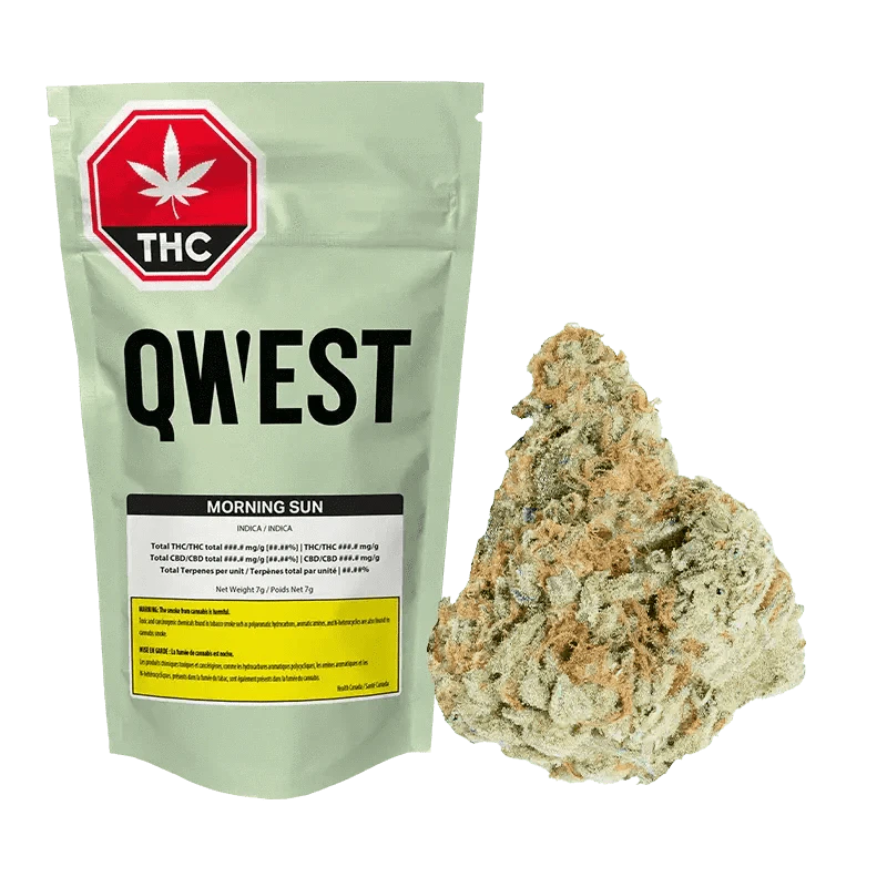 Qwest - Qwest - Morning Sun 7g Dried Flower Main Image