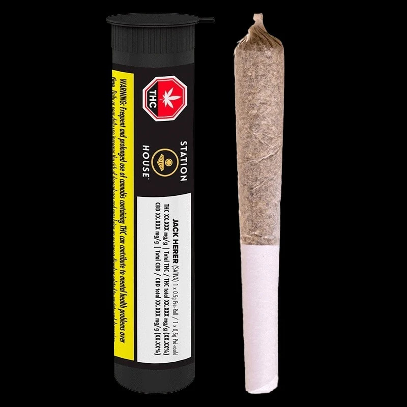 Station House - Station House - Jack Herer 1 x 0.5g Pre-Roll Main Image