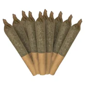 Dante's Inferno #8 10 x 0.5g Pre-Rolls