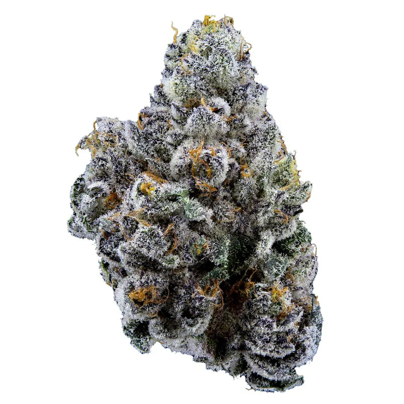 Sweetgrass Organic Cannabis - LIMELIGHT FLOWER PETITES - 3.5 Main Image