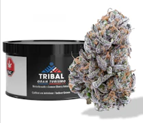 Tribal Gran Turismo 3.5g Dried Flower