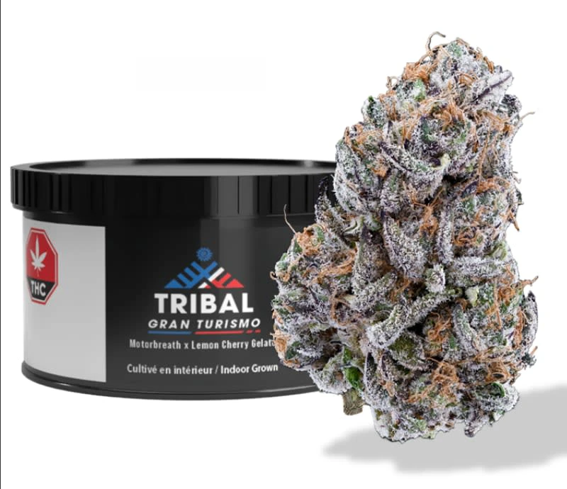Tribal - Tribal Gran Turismo 3.5g Dried Flower Main Image