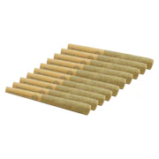 Cherry Ztripez Pre-Roll 10x0.5g Pre-Rolls