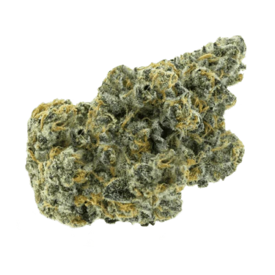 BOLD - Super Lemon Cherry 14g Main Image