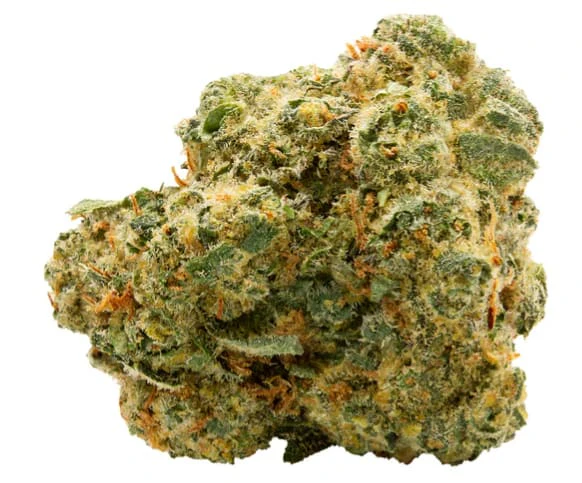 Spinach - BLUE THAI #2 - 28 Main Image