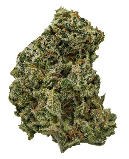 VERSUS - SOUR DUBB - 7 Main Image