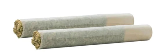 GUAVA BISCOTTI PRE-ROLLS LTO - 2 x 1g