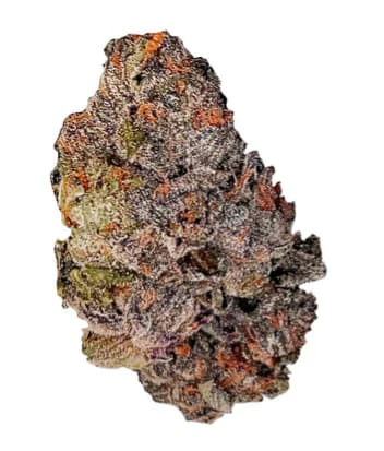 Castle Rock Farms - BUBBLEGUM MARKER - 14g Main Image