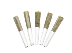 TEXADA BALANCE PRE-ROLLS - 5X0.35G