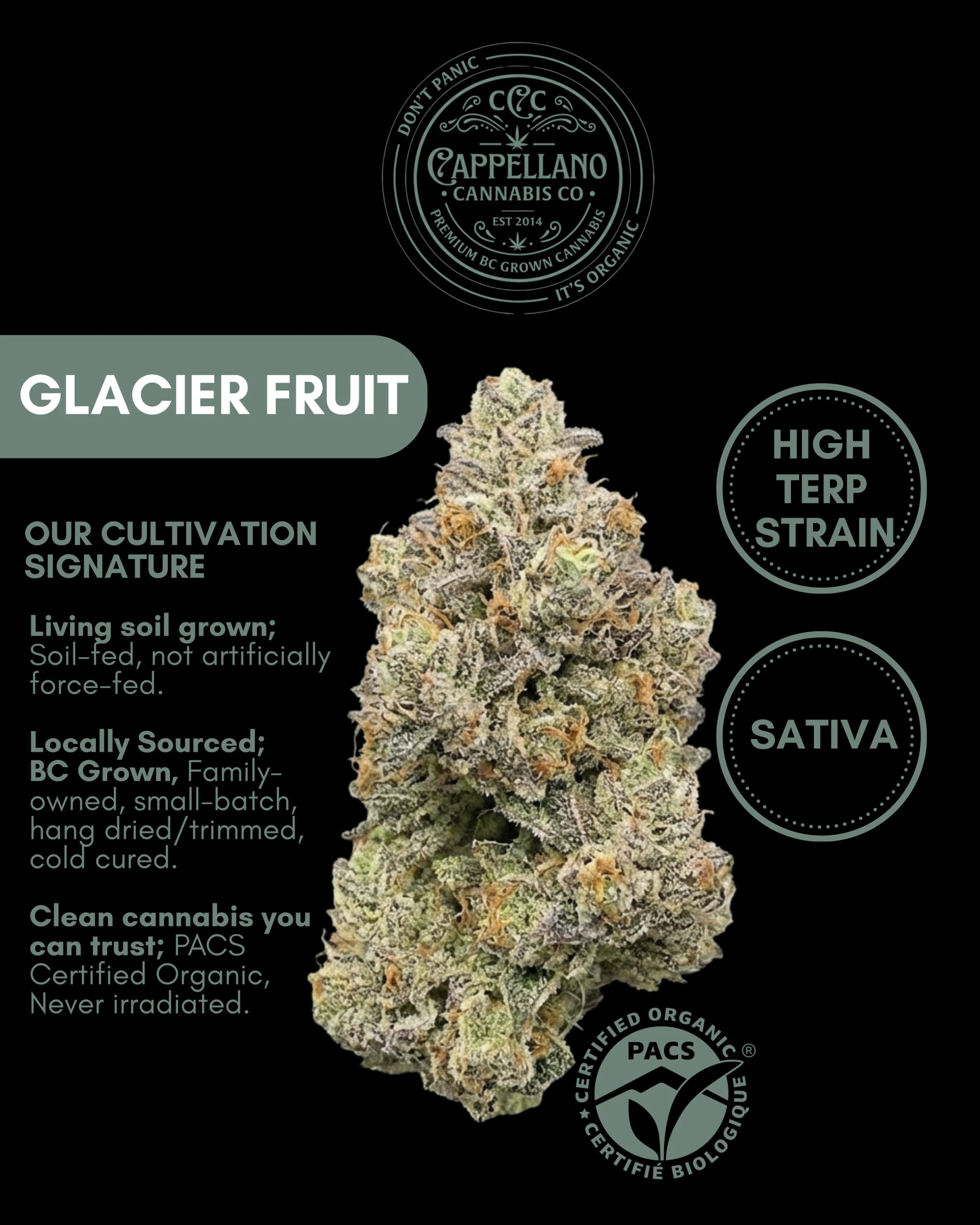 Cappellano Cannabis Co. - LSO Glacier Fruit (Juicy Fruit x Tangerine Dream) 28g - Cappellano Main Image
