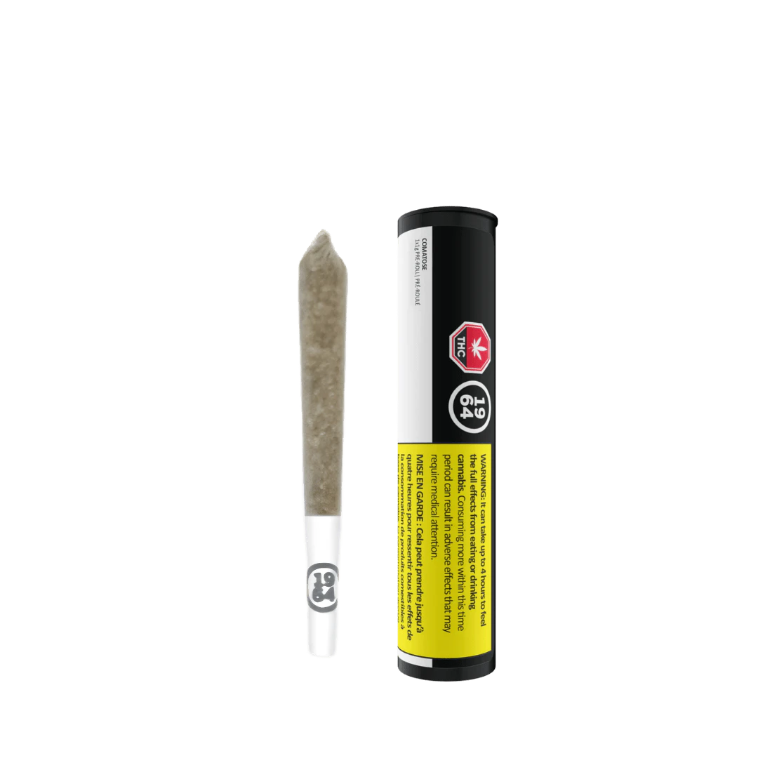 1964 - 1964 Comatose Pre-Roll - 1 X 1g Main Image