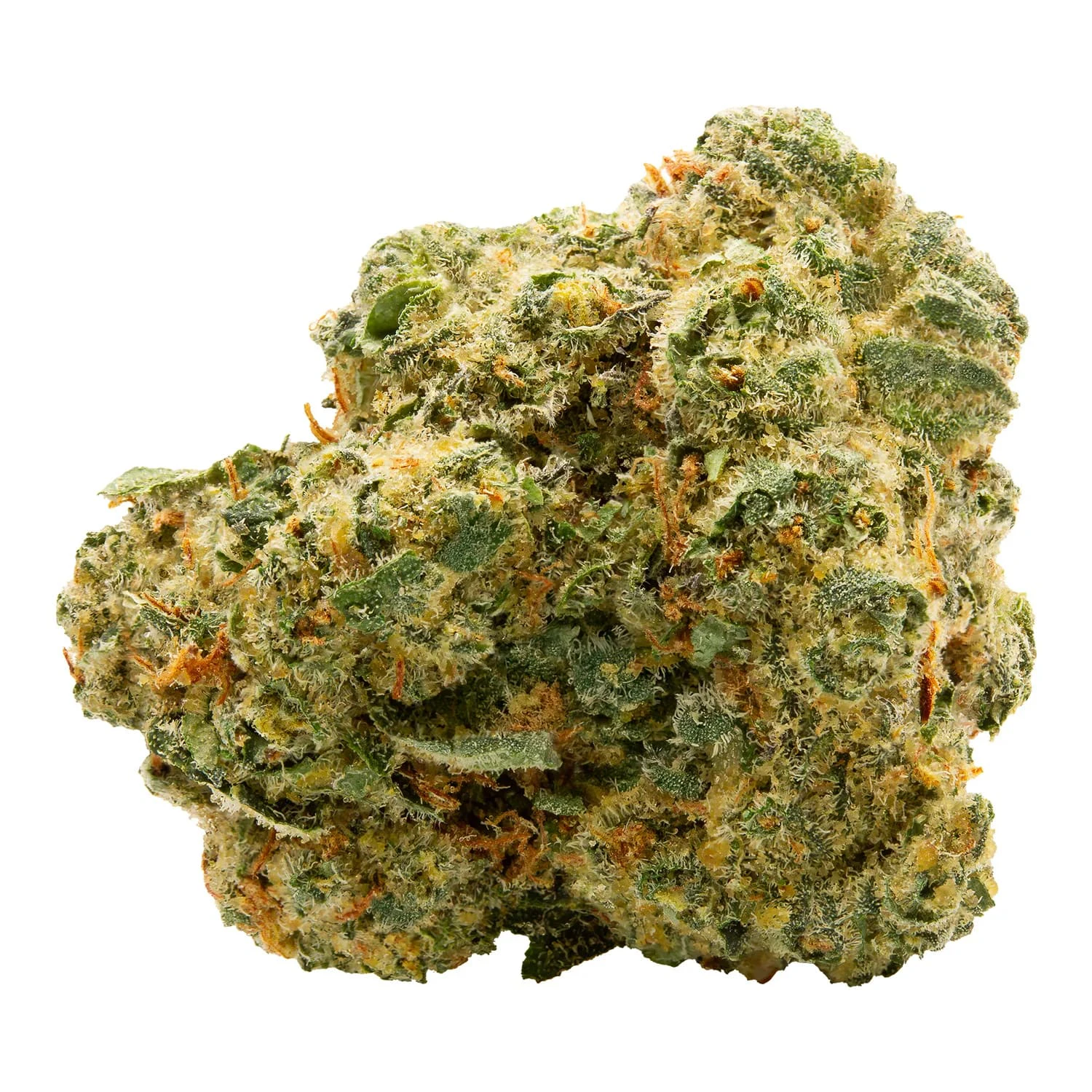 Spinach - Spinach | Blue Thai #2 | 28 g Main Image