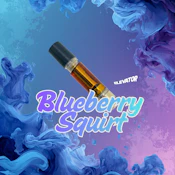 Blueberry Squirt 1g - Elevator