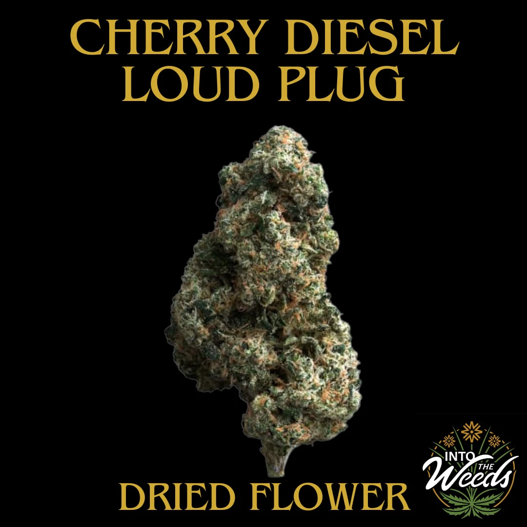 The Loud Plug - Cherry Diesel - 7g Main Image