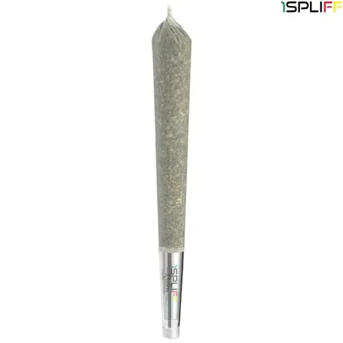1Spliff - 1Spliff Reserve | Quantum Kush Premium Glass Tip Pre-Roll | 1x1g * PROMO Main Image