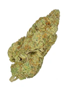 Champagne Supernova 28g Dried Flower