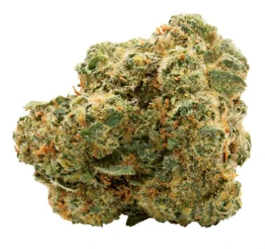 Spinach - Blue Thai #2 - 28g Main Image