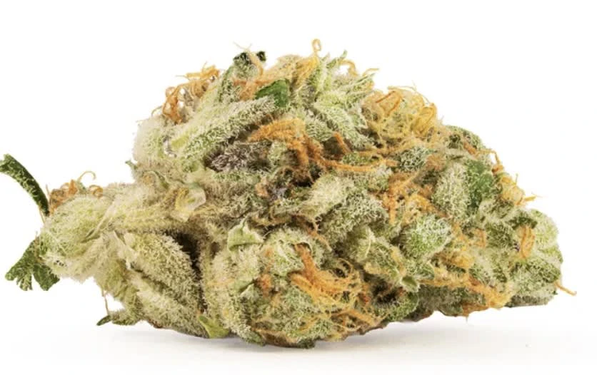 BC Green - GARLIC HAZE 28G Main Image