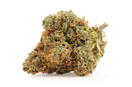 BC Organic Tangerine Sunrise 3.5g Dried Flower