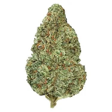 Pistol and Paris - London Zoap 7g Dried Flower By Pistol and Paris Main Image