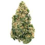 Galactic Jack 7g