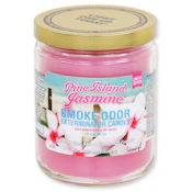 SMOKE ODOR Exterminator Candle - Pine Island Jasmine
