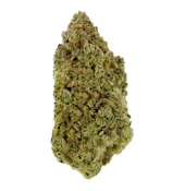 Woody Nelson Country Club | Banjo LTO Flower | 14 g