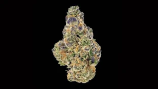 Punch Mints Minis 7g Dried Flower - Partake
