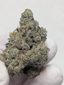 Forbidden Forest | Fruitloops & Fuel | 14 g
