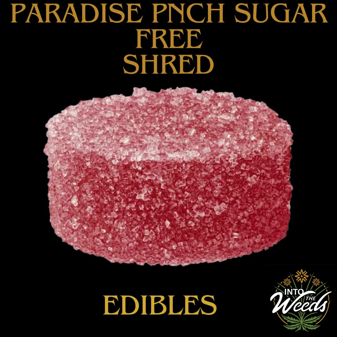 Shred - Paradise Pnch Zero -  1 x 10mg Main Image