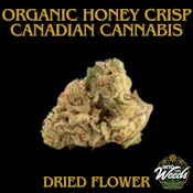 Organic Honey Crisp - 28g