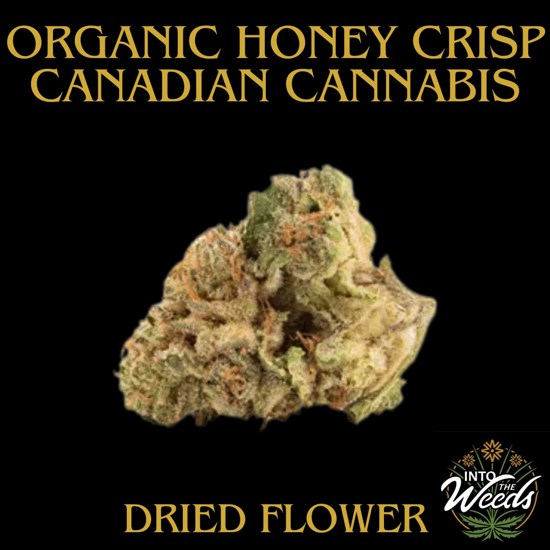 Canadian Cannabis - Organic Honey Crisp - 28g Main Image