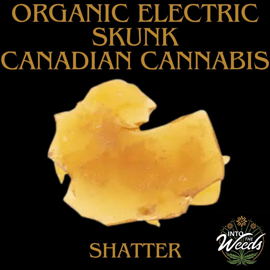 Canadian Cannabis - Organic Electric Skunk - 1g Main Image