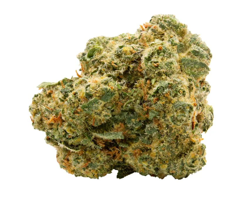 Spinach - BLUE THAI #2 - 28G Main Image