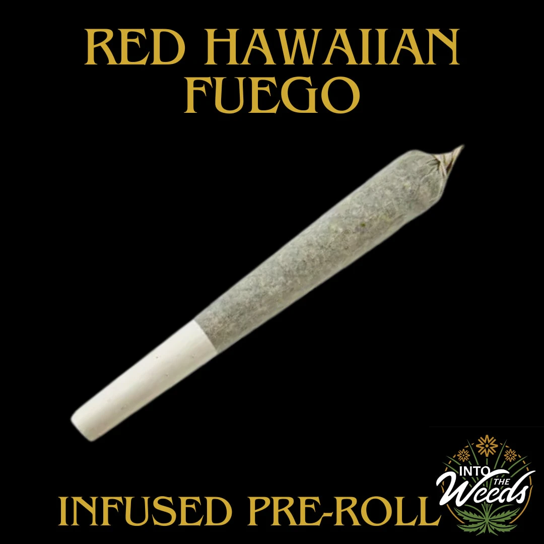 Xplor - Red Hawaiian - 1 x 1g Main Image