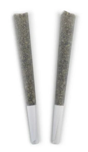 BC Doobies - HONEY BEAR PRE-ROLLS - 2 x 1g Main Image