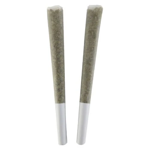 BC Doobies - BC DOOBIES - Honey Bear Pre-Rolls 2x1g Main Image